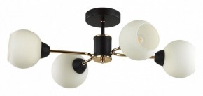 Люстра на штанге Lumion KODI 5646/4C в Кунгуре - kungur.ok-mebel.com | фото