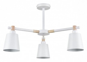 Люстра на штанге Lumion Rosalina 8097/3C в Кунгуре - kungur.ok-mebel.com | фото