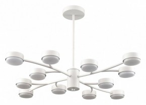Люстра на штанге Lumion TORINA 8265/12 в Кунгуре - kungur.ok-mebel.com | фото