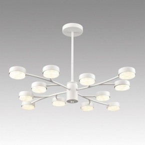 Люстра на штанге Lumion TORINA 8265/12 в Кунгуре - kungur.ok-mebel.com | фото 3