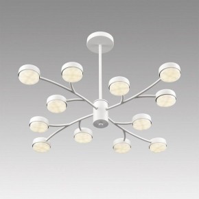 Люстра на штанге Lumion TORINA 8265/12 в Кунгуре - kungur.ok-mebel.com | фото 5