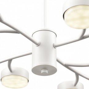 Люстра на штанге Lumion TORINA 8265/12 в Кунгуре - kungur.ok-mebel.com | фото 8