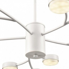 Люстра на штанге Lumion TORINA 8265/15 в Кунгуре - kungur.ok-mebel.com | фото 8