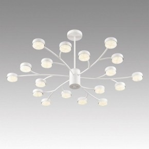 Люстра на штанге Lumion TORINA 8265/18 в Кунгуре - kungur.ok-mebel.com | фото 5