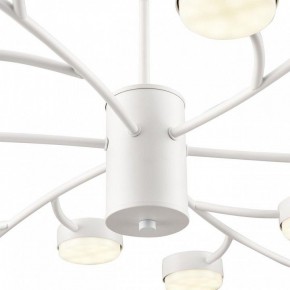 Люстра на штанге Lumion TORINA 8265/18 в Кунгуре - kungur.ok-mebel.com | фото 8