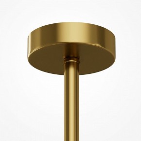 Люстра на штанге Maytoni Museo MOD436PL-05BS в Кунгуре - kungur.ok-mebel.com | фото 6
