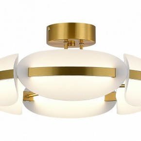 Люстра на штанге ST-Luce ETOILE SL1304.302.45 в Кунгуре - kungur.ok-mebel.com | фото 4