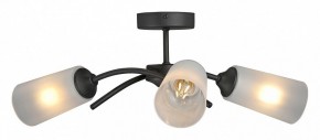 Люстра на штанге Vitaluce V2850 V2850-1/3PL в Кунгуре - kungur.ok-mebel.com | фото