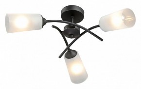Люстра на штанге Vitaluce V2850 V2850-1/3PL в Кунгуре - kungur.ok-mebel.com | фото 2