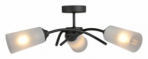 Люстра на штанге Vitaluce V2850 V2850-1/3PL в Кунгуре - kungur.ok-mebel.com | фото 3