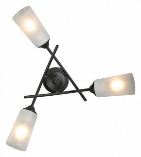 Люстра на штанге Vitaluce V2850 V2850-1/3PL в Кунгуре - kungur.ok-mebel.com | фото 4