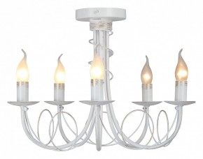 Люстра на штанге Vitaluce V3035 V3035-0/5PL в Кунгуре - kungur.ok-mebel.com | фото 2