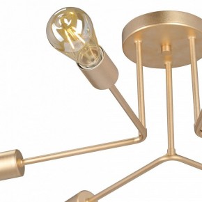 Люстра на штанге Vitaluce V3071 V3071-8/6PL в Кунгуре - kungur.ok-mebel.com | фото 6