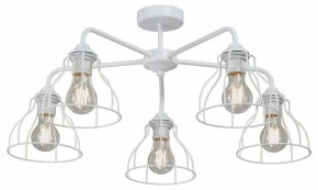Люстра на штанге Vitaluce V3102 V3102-0/5PL в Кунгуре - kungur.ok-mebel.com | фото