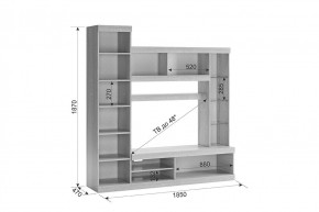 МАКСИ К1 Стенка для гостиной в Кунгуре - kungur.ok-mebel.com | фото 3