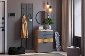 МЕБЕЛЬСОН К21 Прихожая в Кунгуре - kungur.ok-mebel.com | фото 2
