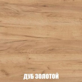 МСП-1 Шкаф 2-х створчатый (Дуб Золотой/Камень темный) в Кунгуре - kungur.ok-mebel.com | фото 4