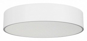 Накладной светильник Arlight TOR PILL 022108(3) в Кунгуре - kungur.ok-mebel.com | фото