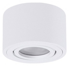 Накладной светильник Arte Lamp Unito A0550PL-1WH в Кунгуре - kungur.ok-mebel.com | фото