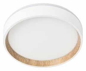 Накладной светильник Citilux Etalon CL750180 в Кунгуре - kungur.ok-mebel.com | фото