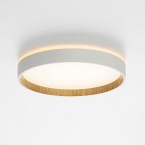 Накладной светильник Citilux Etalon CL750240 в Кунгуре - kungur.ok-mebel.com | фото 4