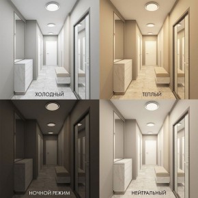 Накладной светильник Denkirs Cany DK6516-WH в Кунгуре - kungur.ok-mebel.com | фото 2