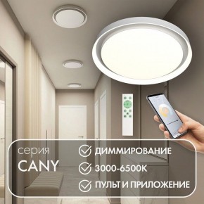 Накладной светильник Denkirs Cany DK6516-WH в Кунгуре - kungur.ok-mebel.com | фото 4
