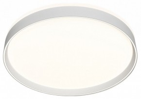 Накладной светильник Denkirs PLATO DK6511-WH/1 в Кунгуре - kungur.ok-mebel.com | фото