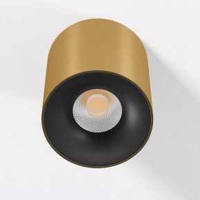 Накладной светильник Elektrostandard Primo 25116/LED в Кунгуре - kungur.ok-mebel.com | фото 2