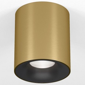 Накладной светильник Elektrostandard Primo 25116/LED в Кунгуре - kungur.ok-mebel.com | фото 2