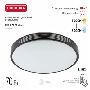 Накладной светильник Эра Классик SPB-6-70-RC Liburn в Кунгуре - kungur.ok-mebel.com | фото 10