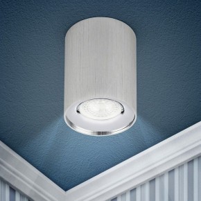 Накладной светильник Эра  OL1 GU10 SL/CH в Кунгуре - kungur.ok-mebel.com | фото 3