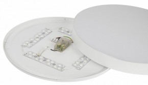 Накладной светильник Эра Relict Relict 48 Pult SPB-6-60-RC WH в Кунгуре - kungur.ok-mebel.com | фото 11