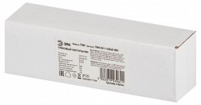 Накладной светильник Эра  TRM-S5-1-6W4K-WH в Кунгуре - kungur.ok-mebel.com | фото 6