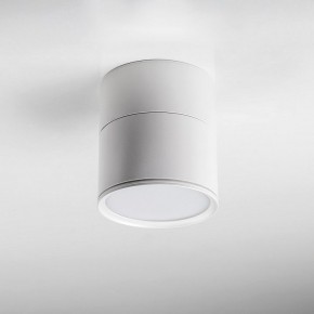 Накладной светильник Lightstar Acuto 215886 в Кунгуре - kungur.ok-mebel.com | фото 3
