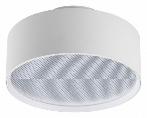 Накладной светильник Lightstar Acuto 215936 в Кунгуре - kungur.ok-mebel.com | фото