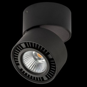 Накладной светильник Lightstar Forte Muro 214817 в Кунгуре - kungur.ok-mebel.com | фото 2