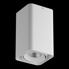 Накладной светильник Lightstar Monocco 052136-IP65 в Кунгуре - kungur.ok-mebel.com | фото 2