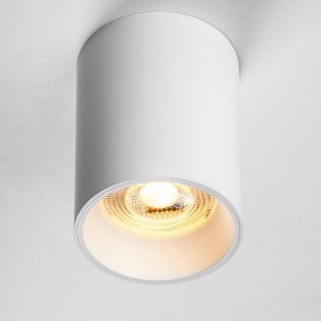 Накладной светильник Lightstar Rullo 213436 в Кунгуре - kungur.ok-mebel.com | фото 2
