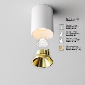 Накладной светильник Maytoni Alfa LED C064CL-8W2.7K-RD-WB в Кунгуре - kungur.ok-mebel.com | фото 3