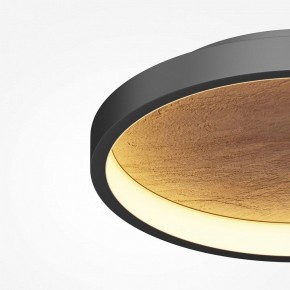 Накладной светильник Maytoni Orign MOD311CL-L27B3K в Кунгуре - kungur.ok-mebel.com | фото 5