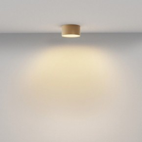 Накладной светильник Maytoni Zon C032CL-12W2.7K-RD-MG в Кунгуре - kungur.ok-mebel.com | фото 4