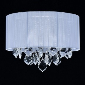 Накладной светильник MW-Light Жаклин 14 465015904 в Кунгуре - kungur.ok-mebel.com | фото 3