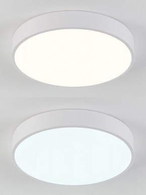 Накладной светильник Natali Kovaltseva  LED LAMPS 81111/5C в Кунгуре - kungur.ok-mebel.com | фото 4