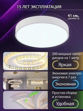 Накладной светильник Natali Kovaltseva  LED LAMPS 81111/5C в Кунгуре - kungur.ok-mebel.com | фото 5