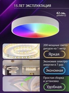 Накладной светильник Natali Kovaltseva MODERN LED LAMPS 81105/1C в Кунгуре - kungur.ok-mebel.com | фото 6