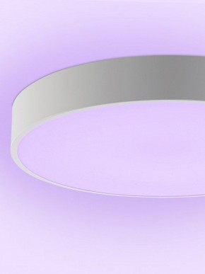 Накладной светильник Natali Kovaltseva MODERN LED LAMPS 81105/1C в Кунгуре - kungur.ok-mebel.com | фото 9