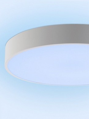 Накладной светильник Natali Kovaltseva MODERN LED LAMPS 81105/2C в Кунгуре - kungur.ok-mebel.com | фото 12