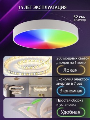 Накладной светильник Natali Kovaltseva MODERN LED LAMPS 81105/2C в Кунгуре - kungur.ok-mebel.com | фото 6