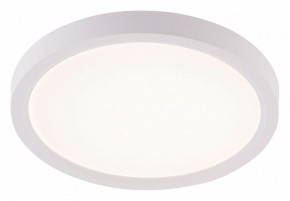 Накладной светильник Natali Kovaltseva PLAIN LED LAMPS 81113/1C в Кунгуре - kungur.ok-mebel.com | фото